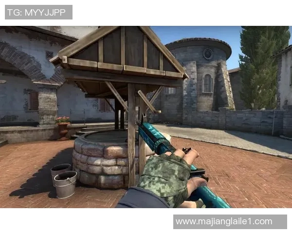 揭秘赵秀英成功之道探讨CSGO背后的成长与挑战